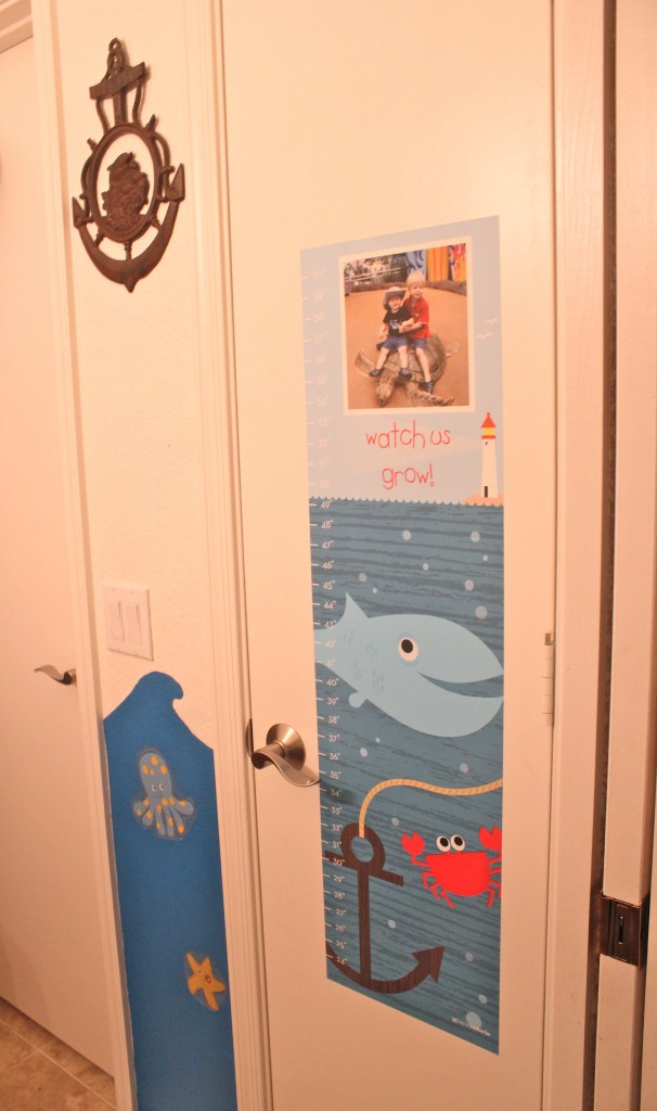 Paper coterie ocean growth chart
