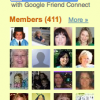 Google Friend Connect