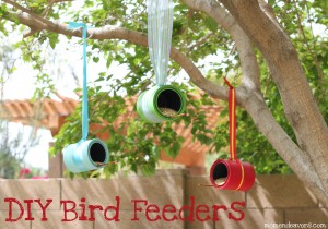 DIY Bird Feeders