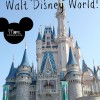 Benefits to staying on property at Disney World