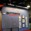 Butterfly Wonderland
