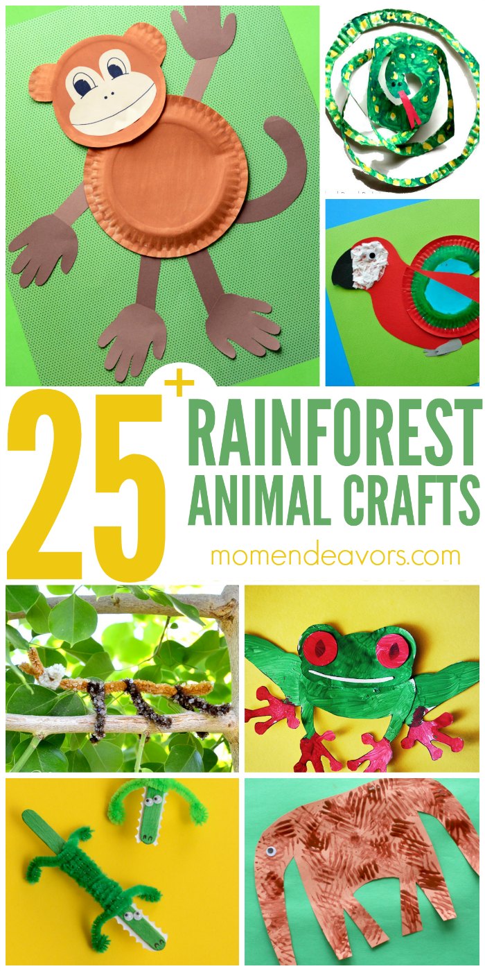 25 Rainforest Animal Crafts For Kids