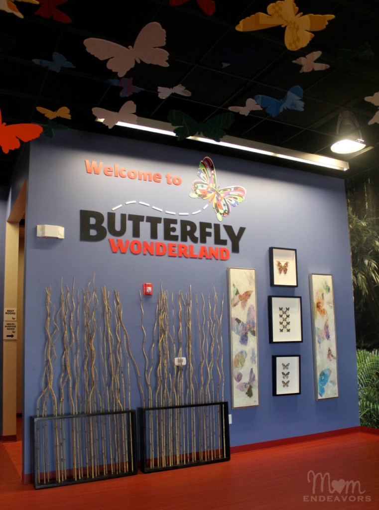 Butterfly Wonderland
