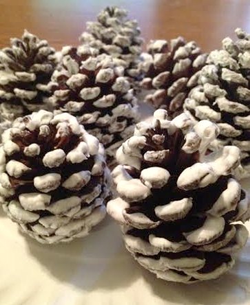 DIY Snowy pinecones