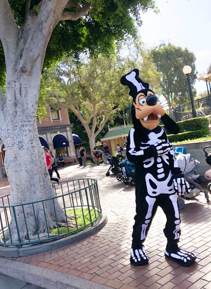 Goofy dressed in a skeleton costume