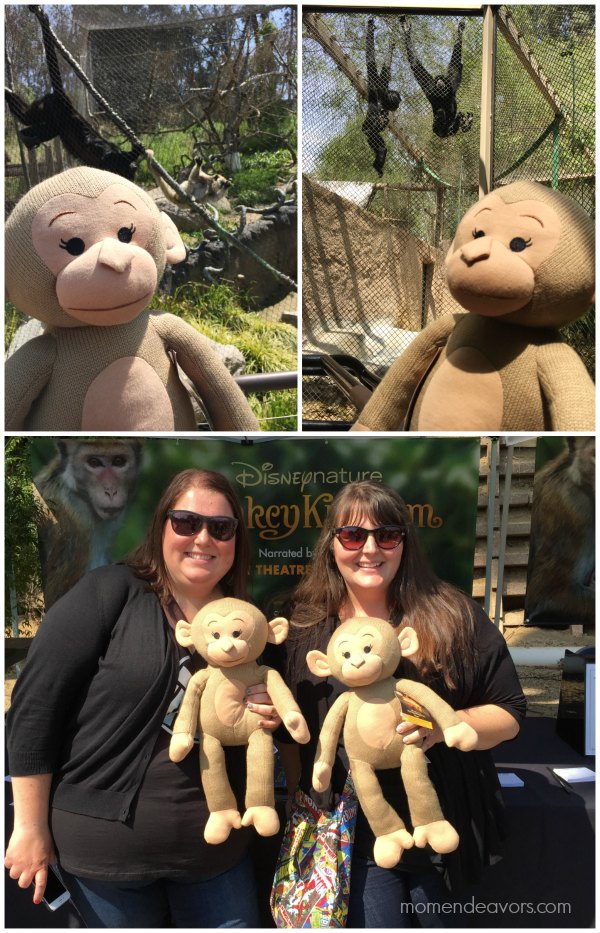 Monkey Kingdom LA Zoo Tour