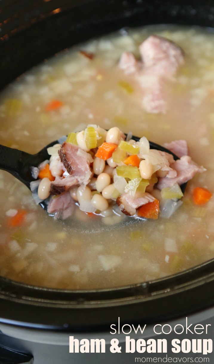 slow cooker ham & bean soup
