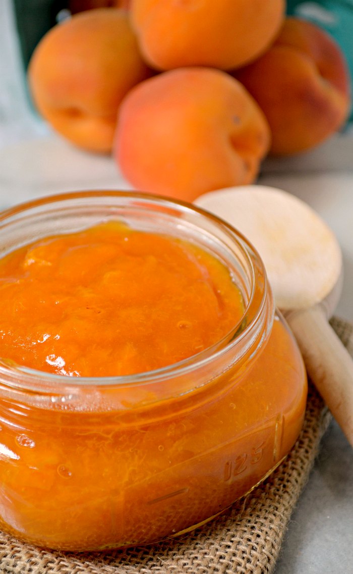 Apricot Fruit Compote