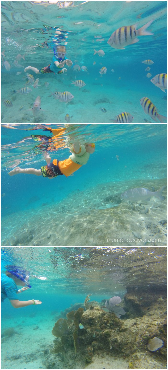 Snorkeling with Kids