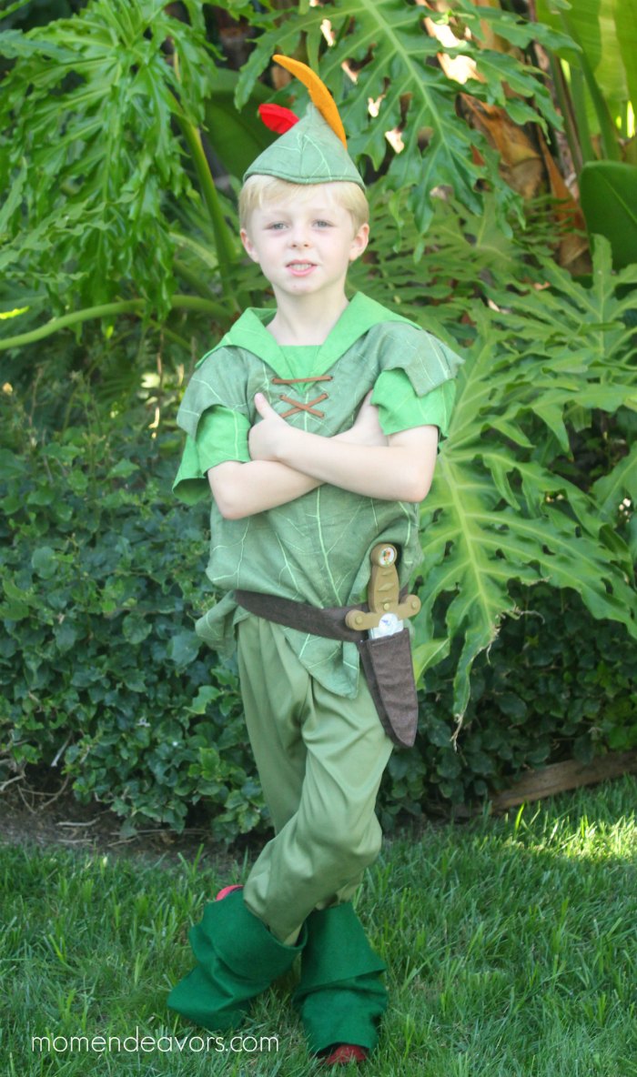 Disney Peter Pan Costume
