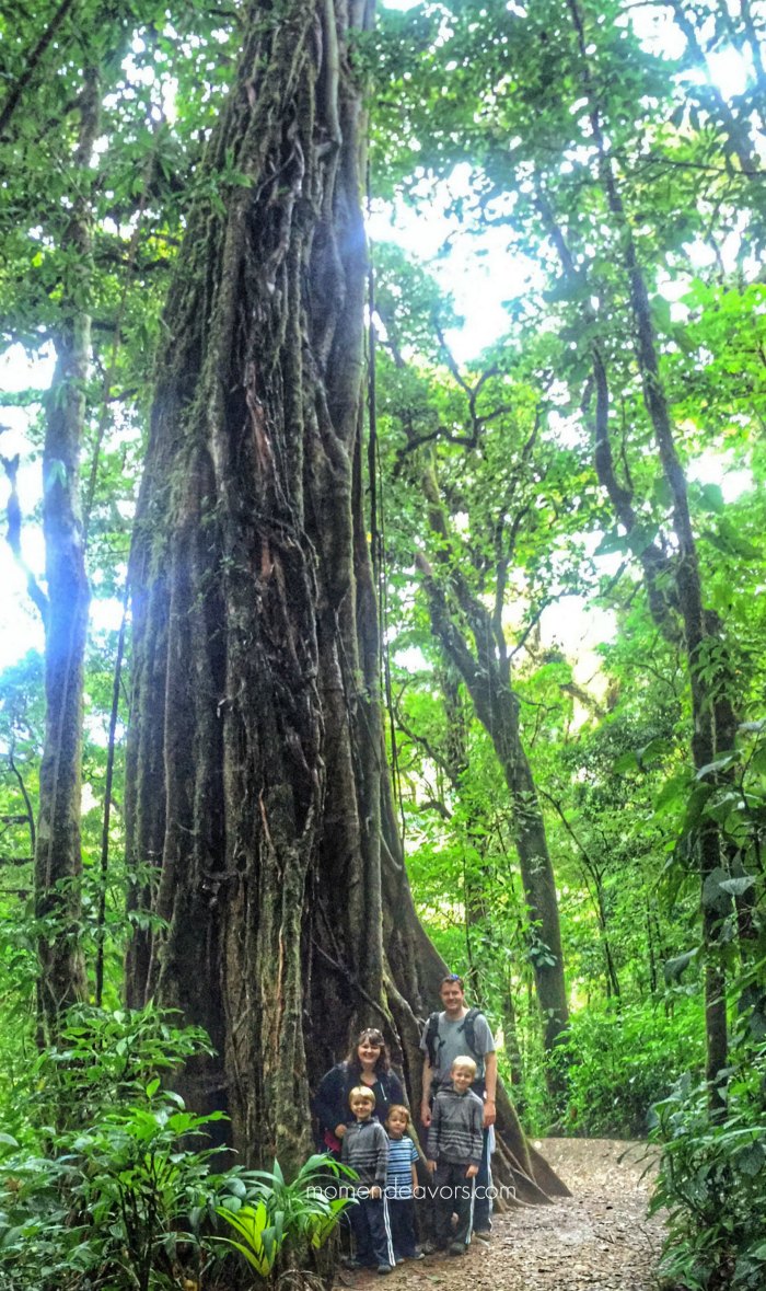 Hiking with Kids in Costa Rica