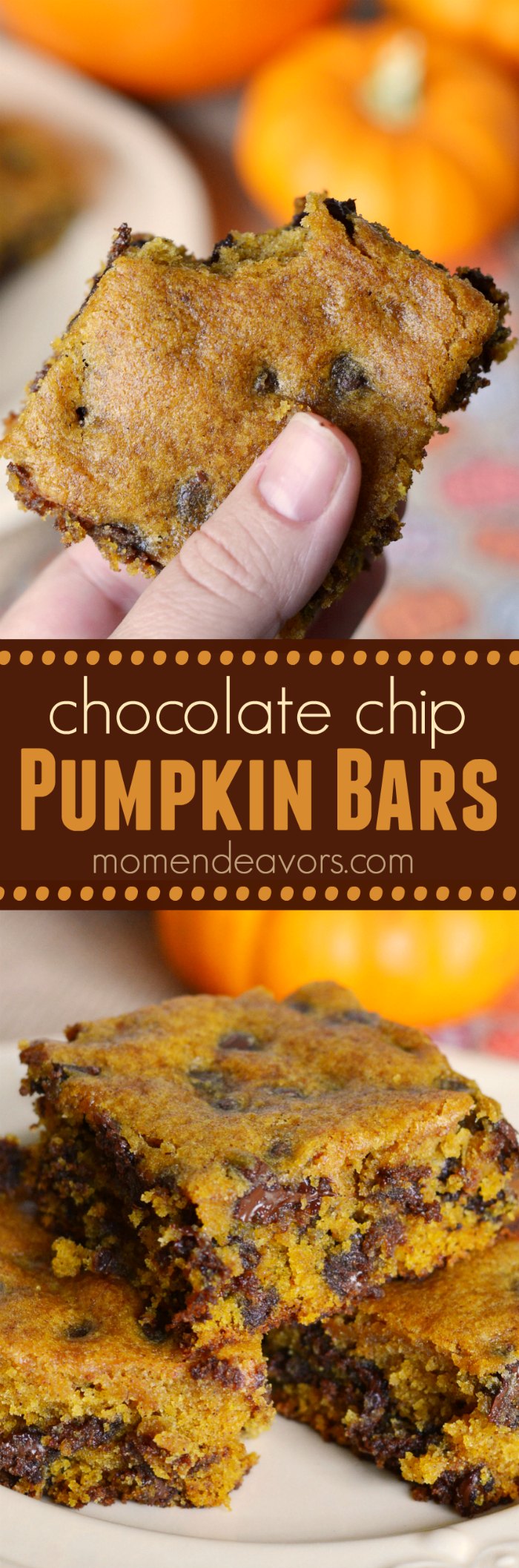 Pumpkin Chocolate Chip Bars Recipe