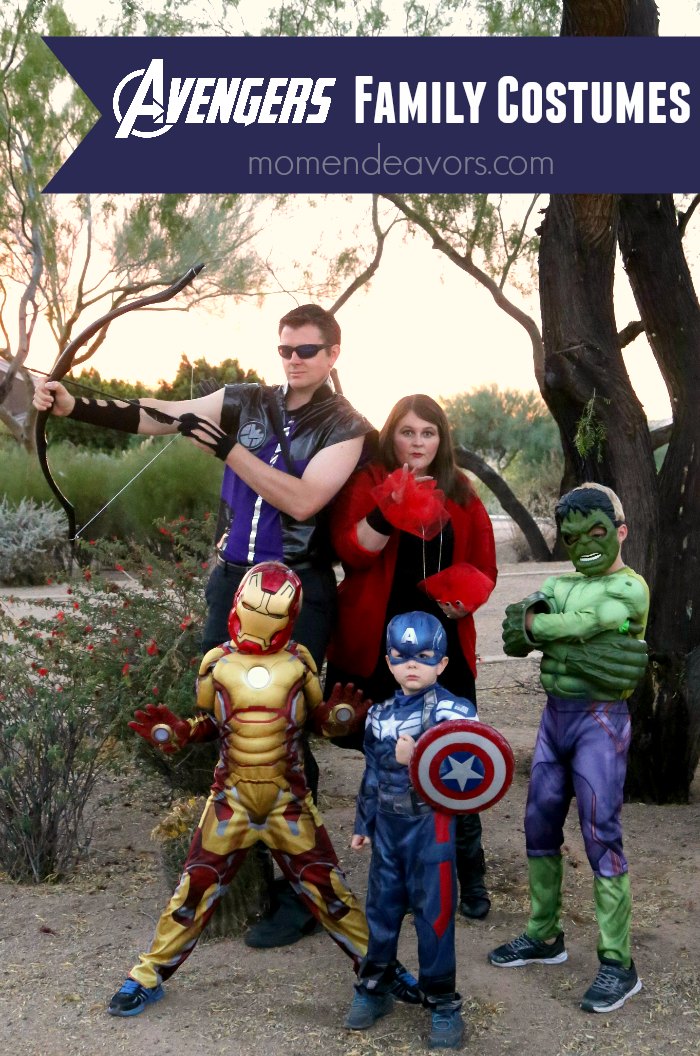 Avengers Family Costumes