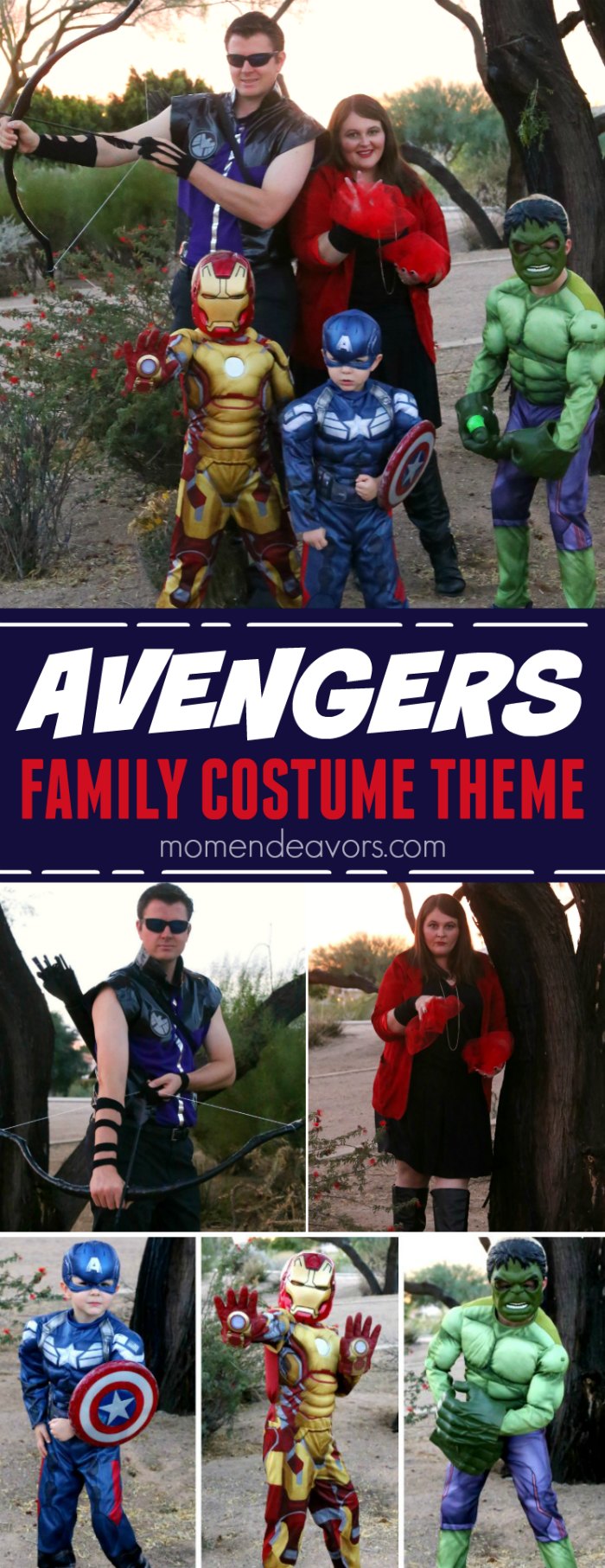 Easy Avengers Family Costume Theme