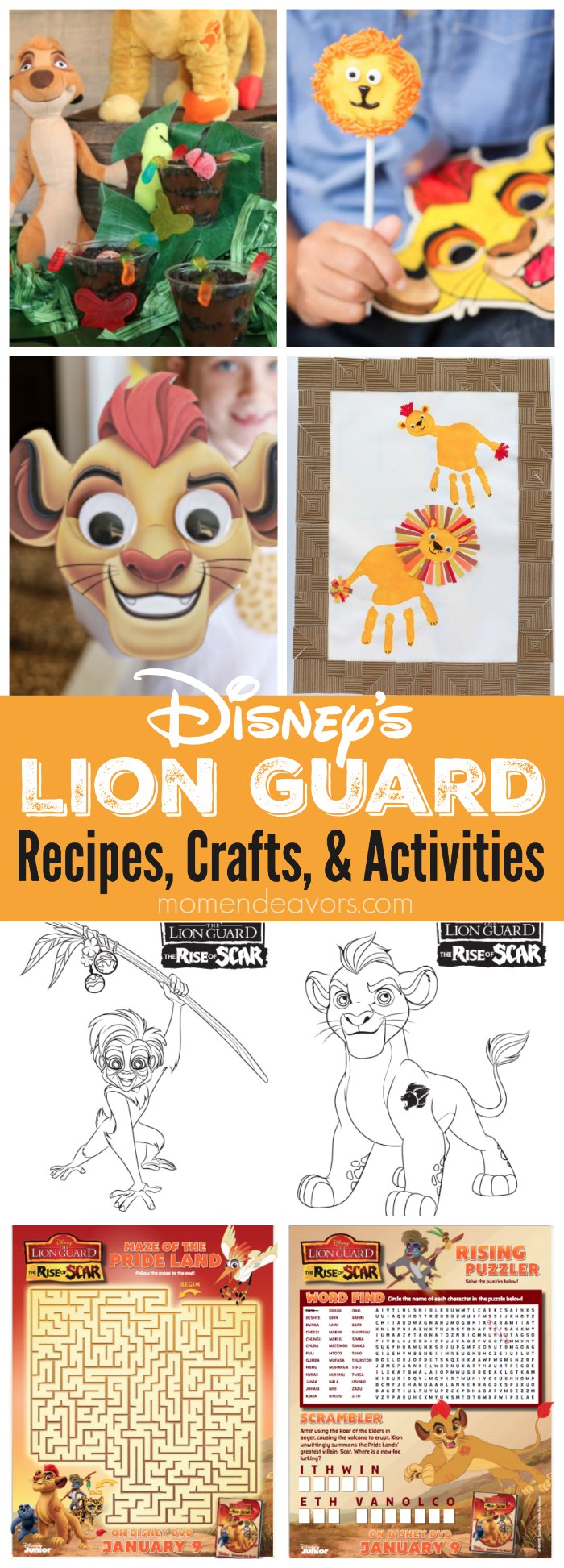 Lion Guard Recipes & Crafts