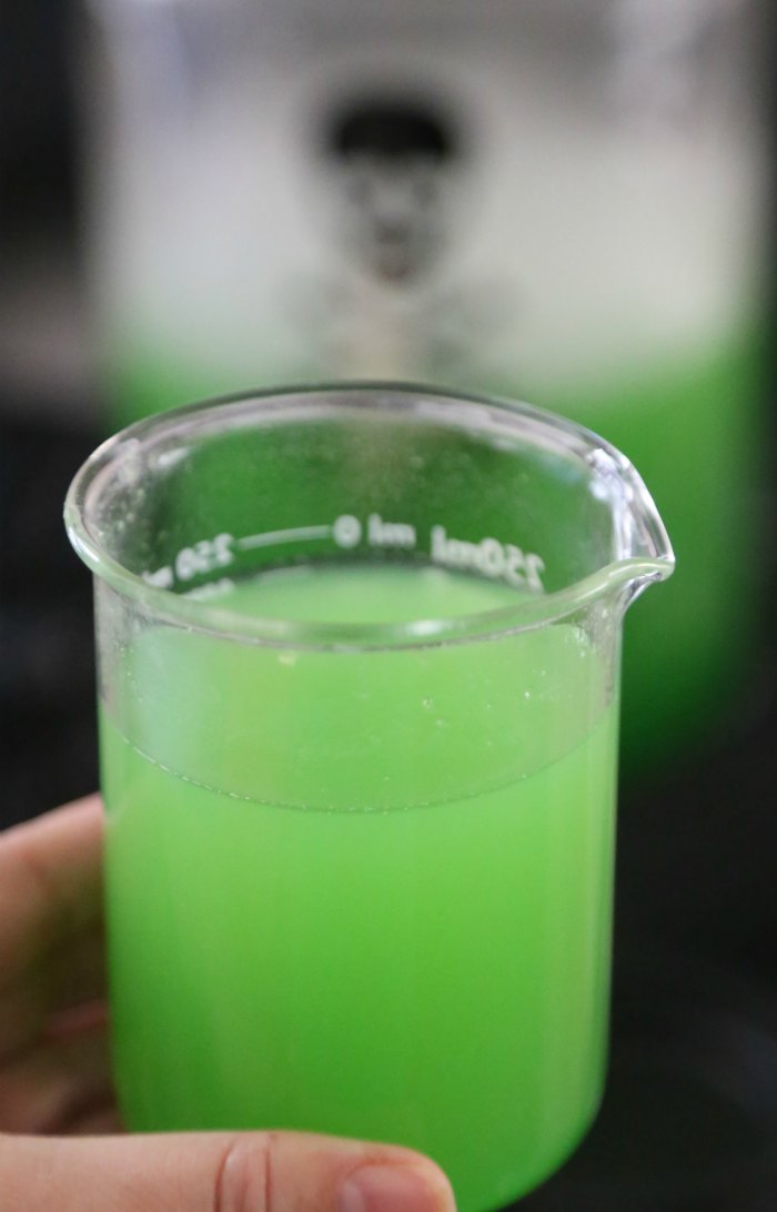 Easy Green Punch