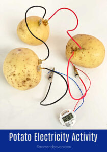 Potatoes and electrical wires to power a clock