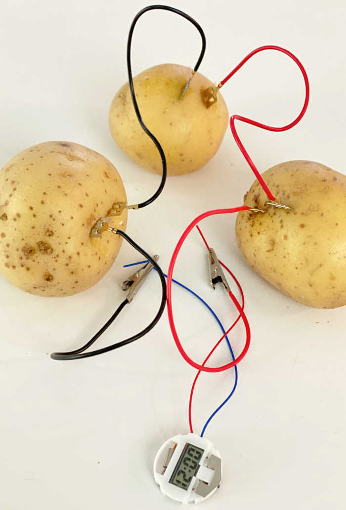 3 potatoes, wires, clock